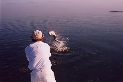 B&B Fishing Adventures